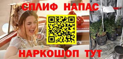 ГАЛЛЮЦИНОГЕННЫЕ ГРИБЫ Канаш