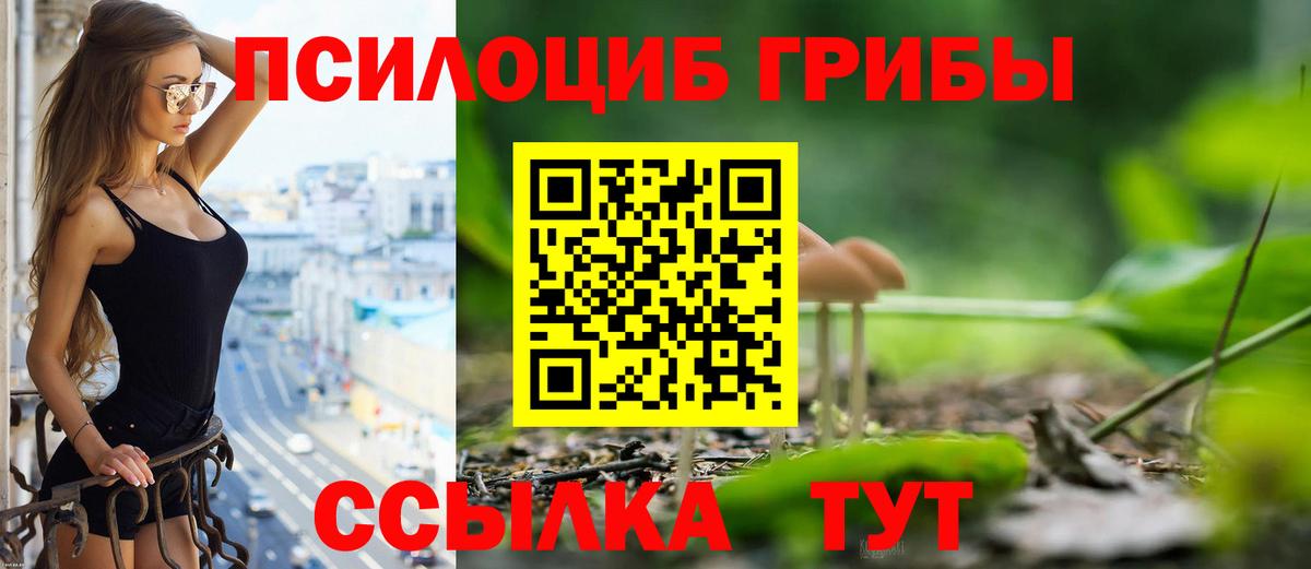 Аксай  Галлюциногенные грибы MAGIC MUSHROOMS  Псилоцибиновые грибы MAGIC MUSHROOMS  Вход с VPN 