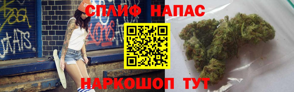 Канабис сатива Аксай